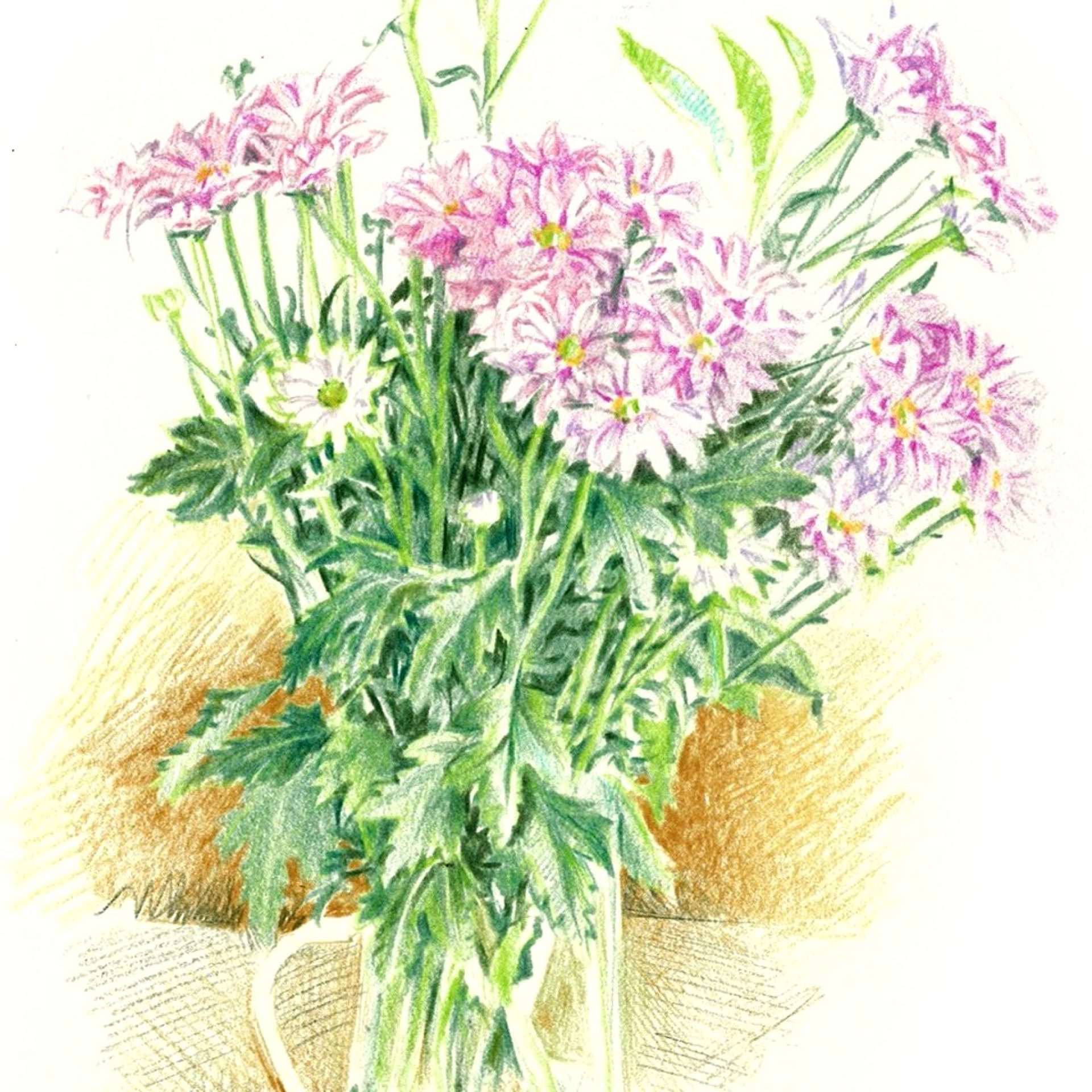 coloured pencil drawing